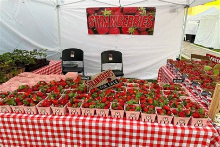 Anne Arundel County Strawberry Festivals