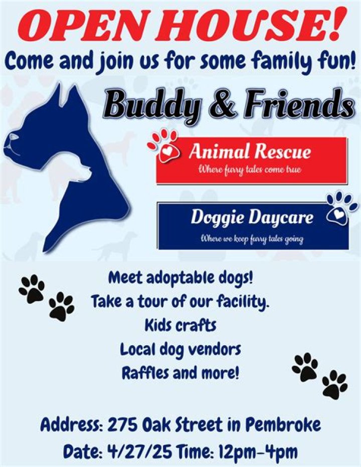 Buddy and Friends Animal Rescue - Adoptable Pet of the Week!