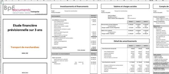 Business plan transport marchandises Excel gratuit : exclusif
