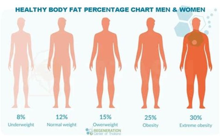 Can You Be Fat and Fit — or Thin and Unhealthy?