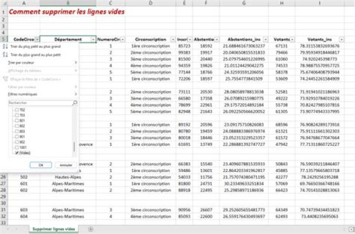 Excel comment supprimer les lignes vides ? ASTUCE
