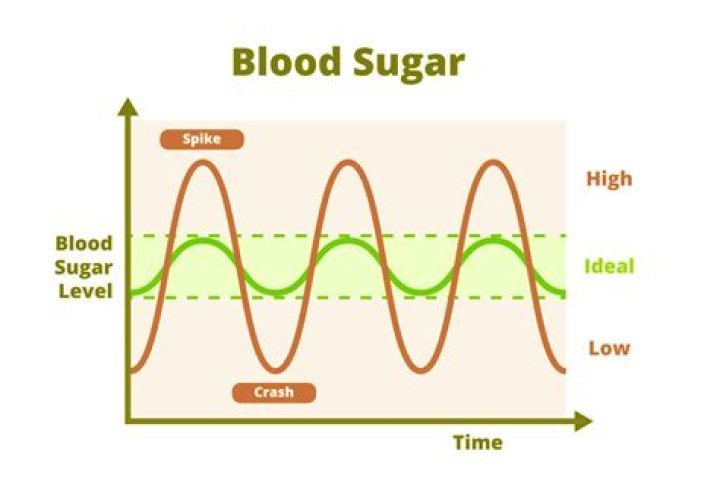 How Long Does it Take to Lower Blood Sugar Spikes? A Guide