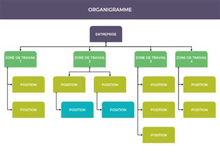 Modèle organigramme Word gratuit : l’exemple parfait