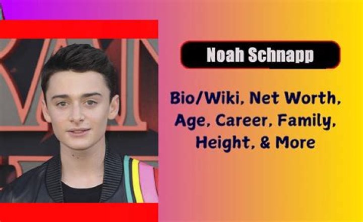 Noah Schnapp Net Worth, Bio, Wiki, Age, Family, Career, Personal life, Social Media And More