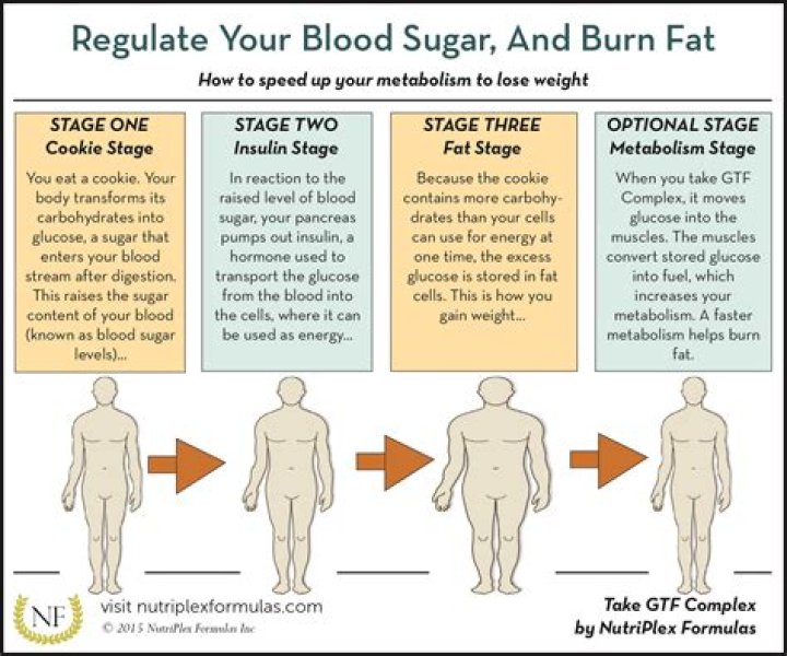 Science Behind Monitoring Blood Sugar & Weight Loss