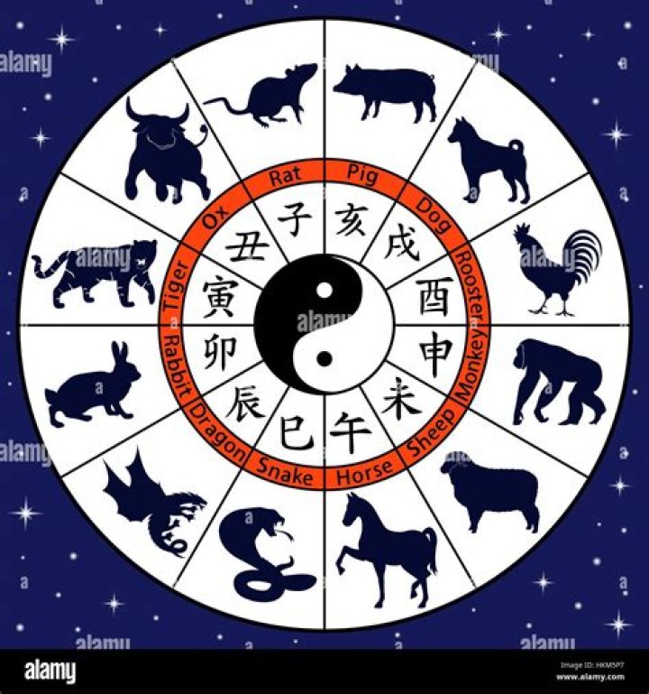 The Yin and Yang of Zodiac Compatibility