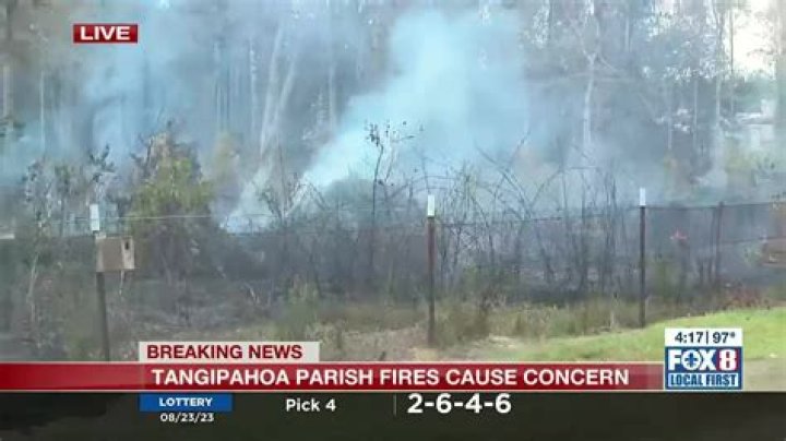 Trash fire spreads, scorches over 170 acres near Amite, chief says