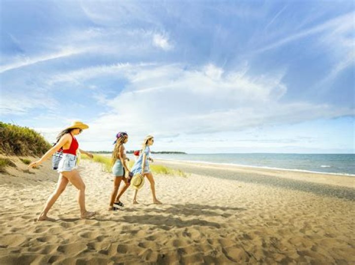 Winter Holiday Events & Activities on the South Shore