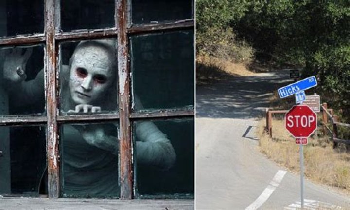 Years Of Rumors Of The Hicks Road Albino Colony Have Kept Drivers Away From The Area For Years